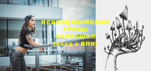 спиды Краснослободск