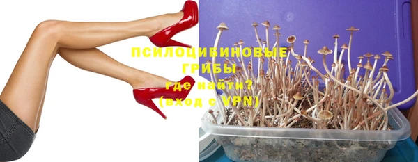 PSILOCYBIN Красноперекопск