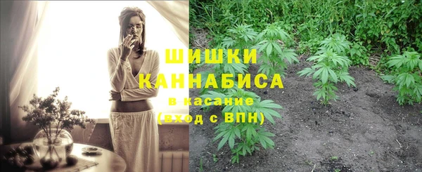 спиды Краснослободск