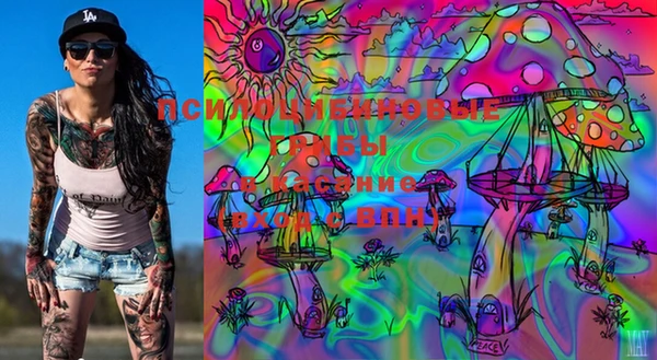PSILOCYBIN Красноперекопск