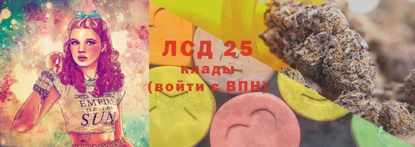 спиды Краснослободск