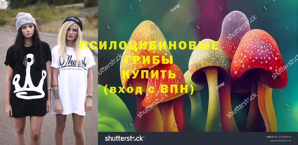 спиды Краснослободск