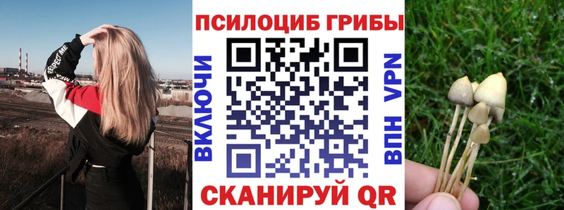 Псилоцибиновые грибы ЛСД  где купить наркоту  Тверь 