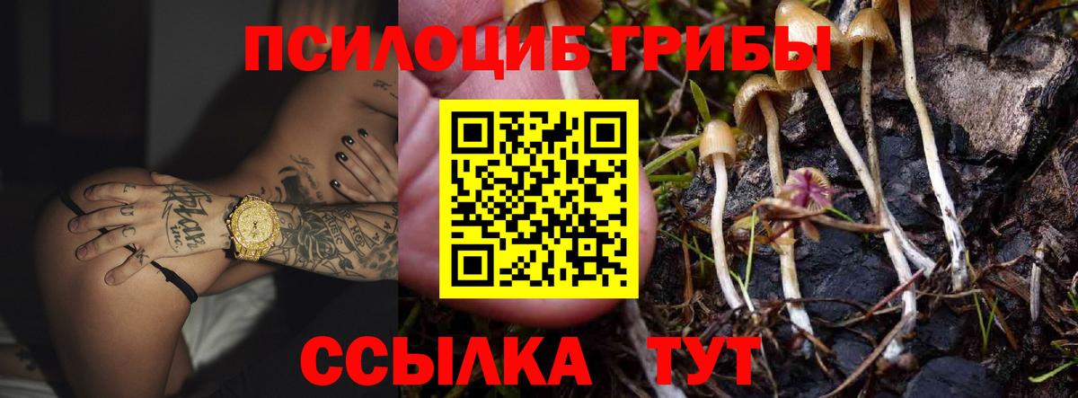 Галлюциногенные грибы GOLDEN TEACHER Тверь