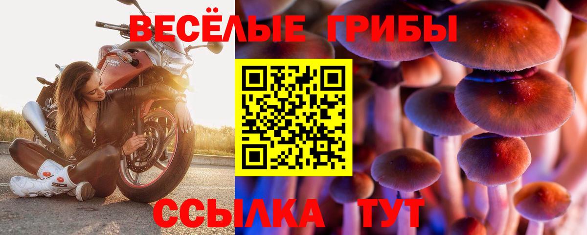 Псилоцибиновые грибы Psilocybine cubensis  Вход с VPN  Тверь 