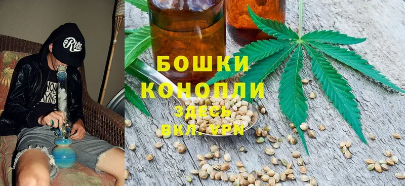 МАРИХУАНА SATIVA & INDICA  Тверь 